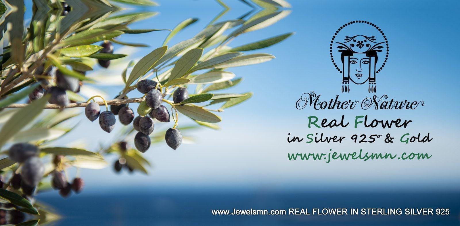 Olive Leaf Earrings: Nature-Inspired Jewelry Gold Plated Recycled Brass